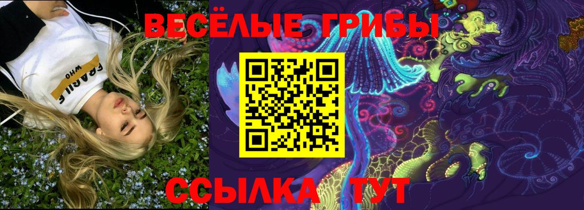Галлюциногенные грибы Psilocybine cubensis Киржач